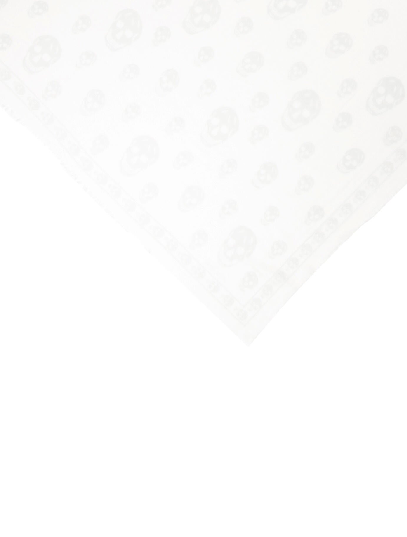 Alexander McQueen Silk Skull Scarf