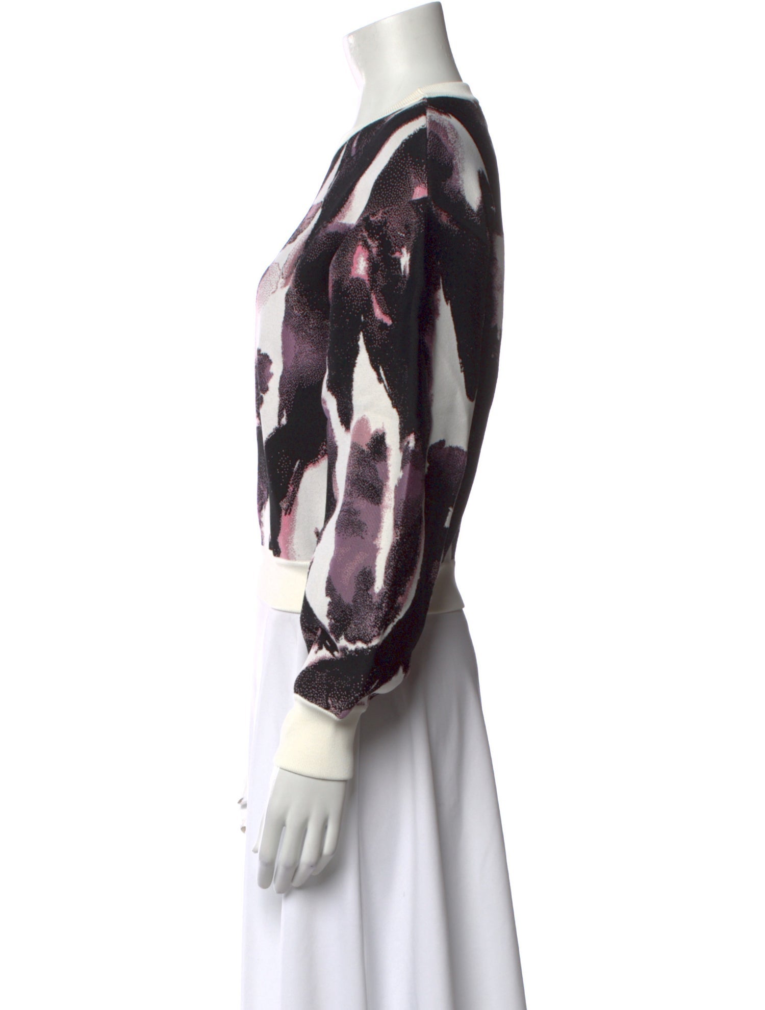 Alexander McQueen Printed Crew Neck Sweatshirt