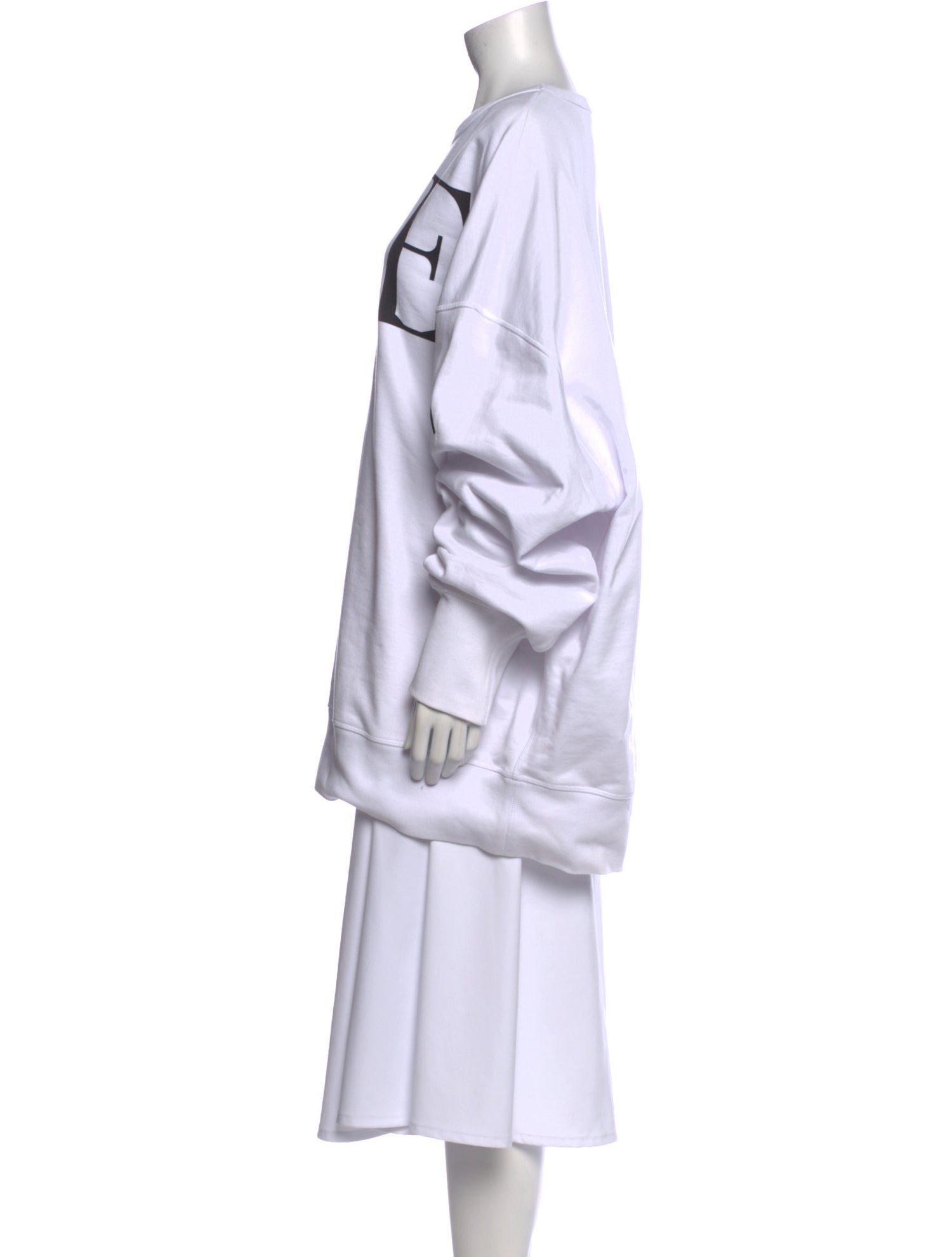 Alexander McQueen Graphic Print Crew Neck Sweatshirt