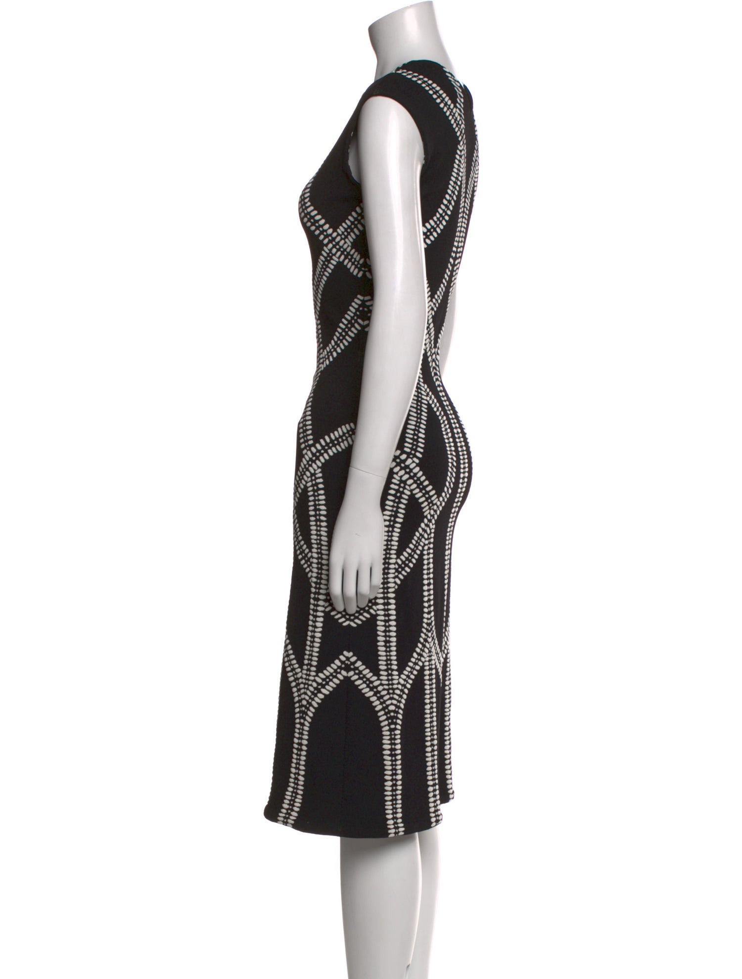 Alexander McQueen Printed Knee-Length Dress