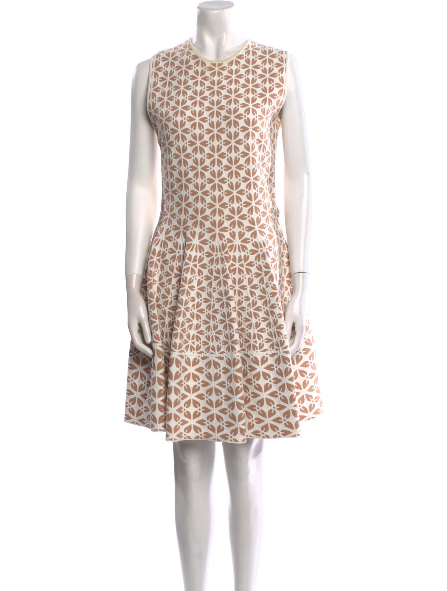 Alexander McQueen Printed Knee-Length Dress