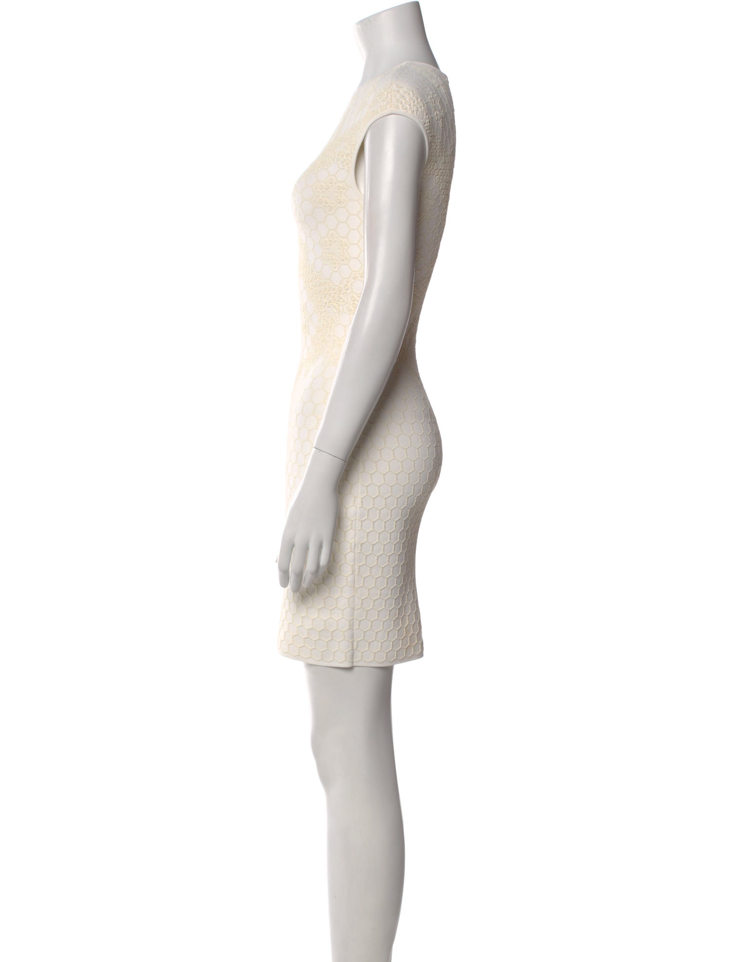 Alexander McQueen Crew Neck Mini Dress