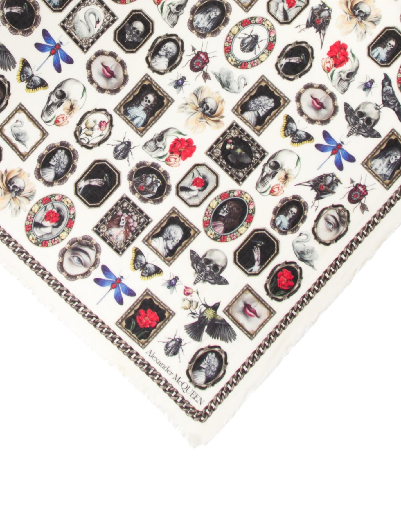 Alexander McQueen Printed Scarf