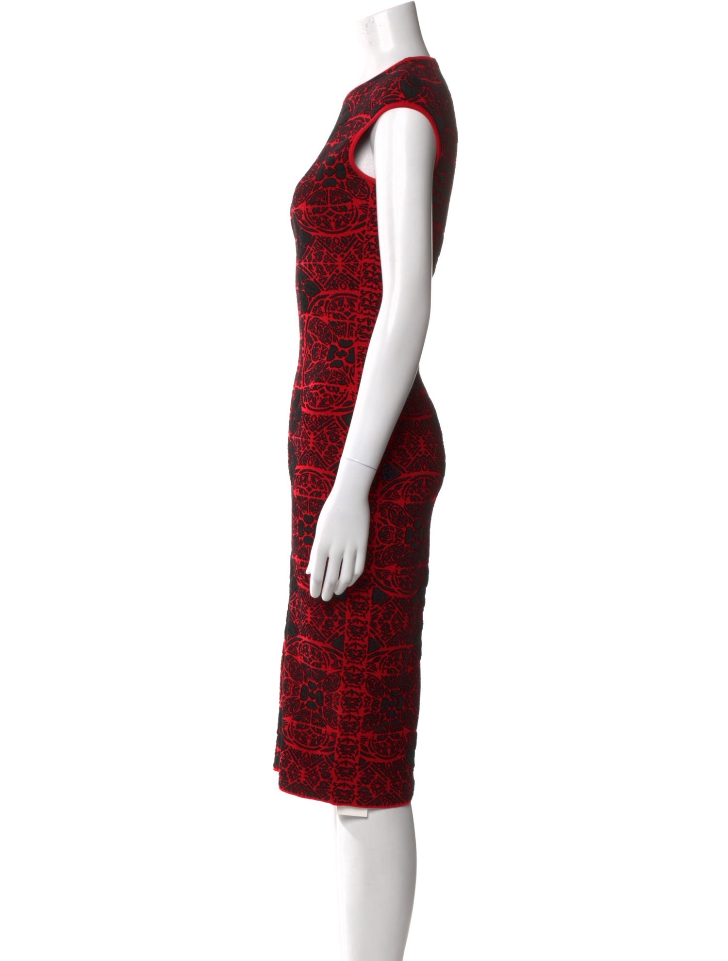 Alexander McQueen Printed Midi Length Dress