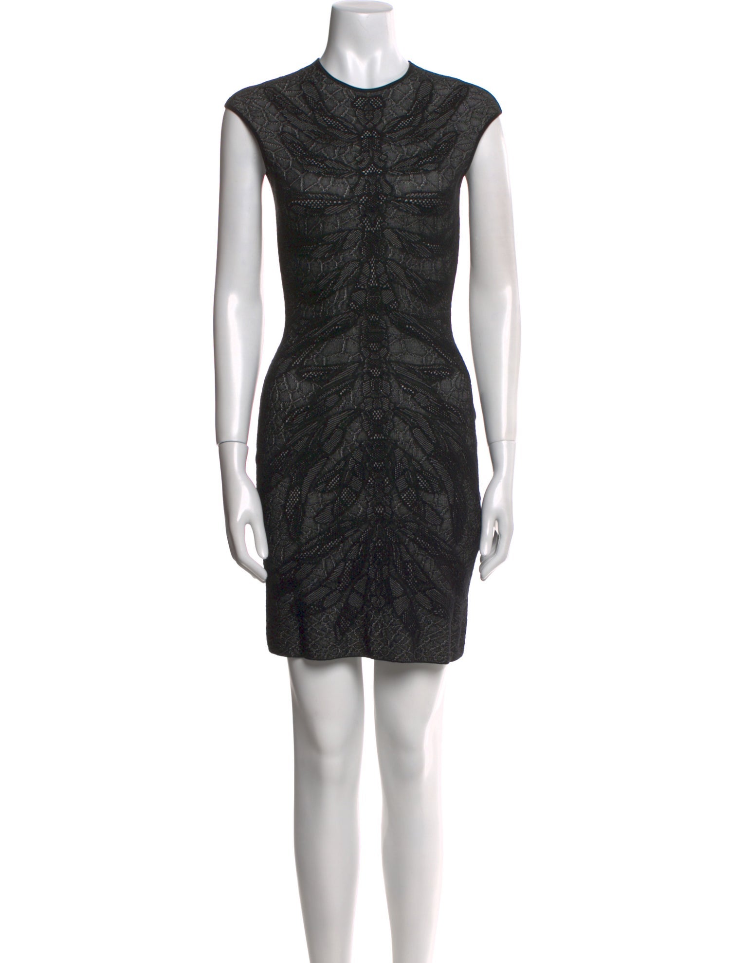 Alexander McQueen Printed Mini Dress