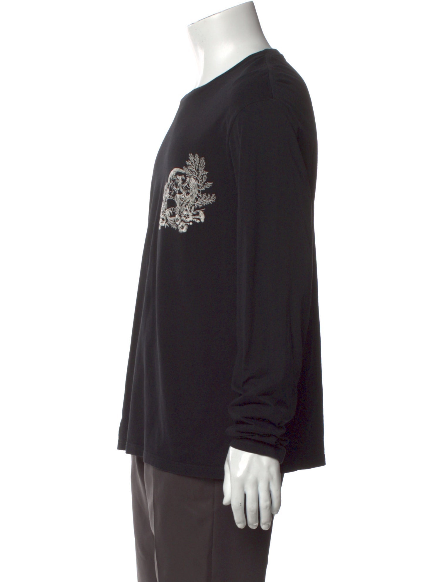 Alexander McQueen Skull Graphic Print Pullover