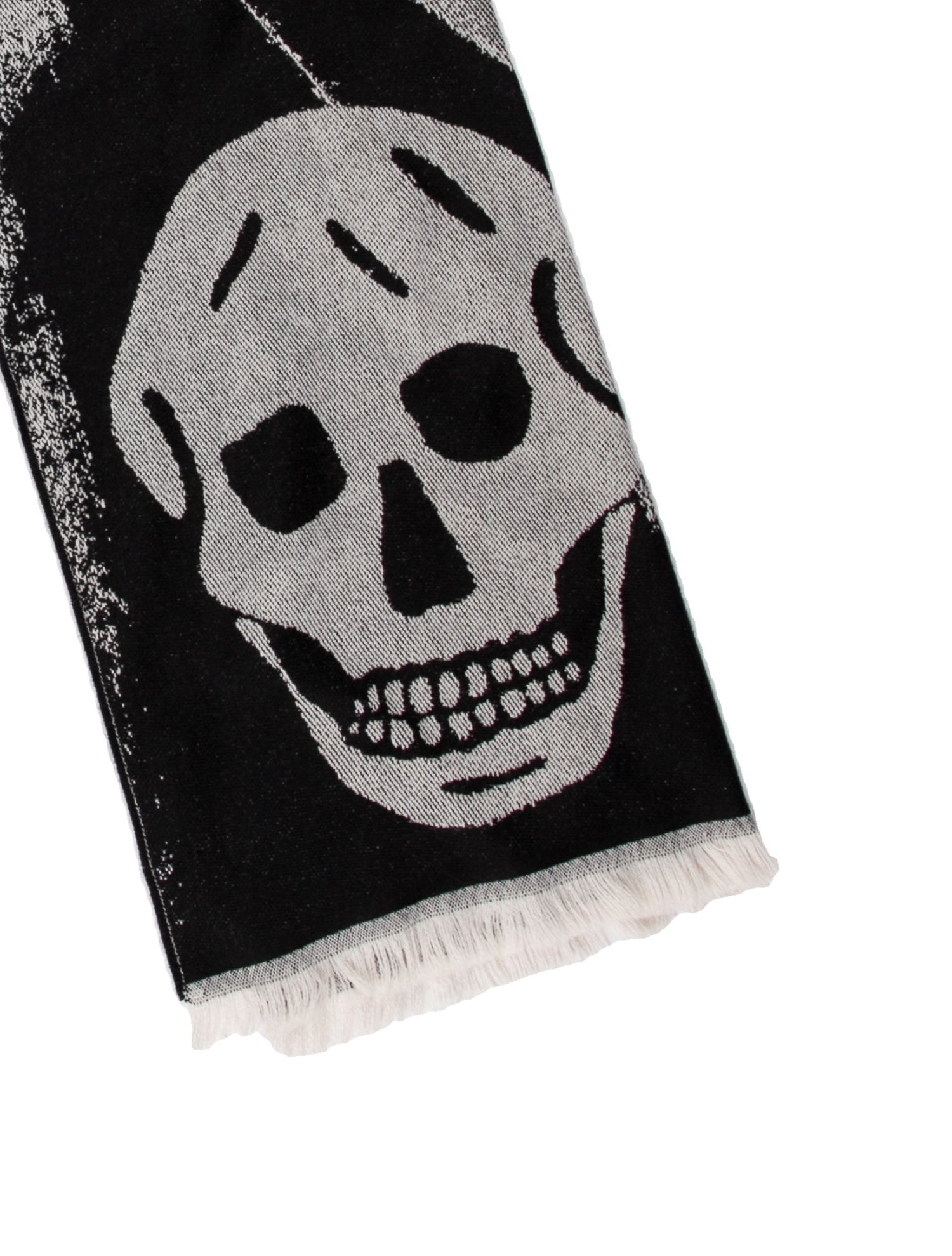 Alexander McQueen Wool Printed Scarf