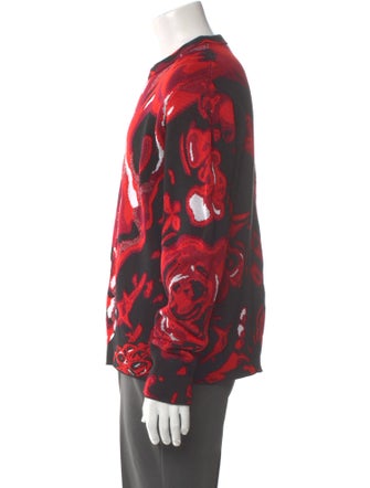 Alexander McQueen 2023 Printed Pullover