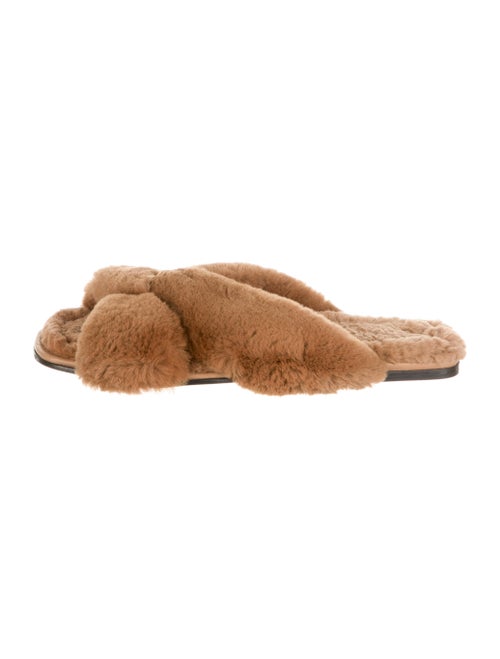 Alumnae Fur Slides