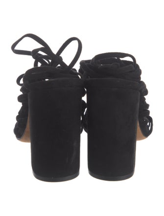 Alumnae Suede Gladiator Sandals