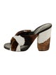 Alumnae Ponyhair Animal Print Slides