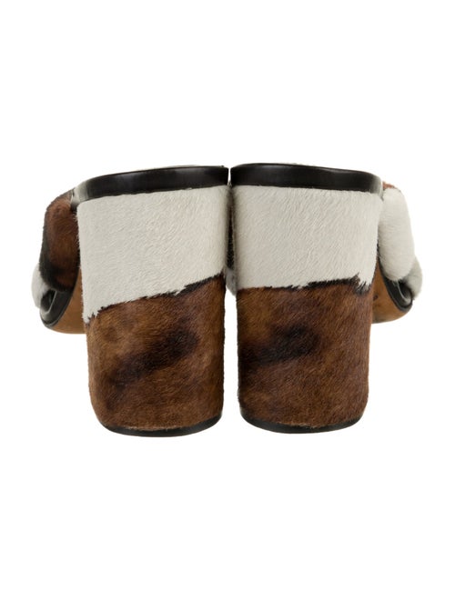 Alumnae Ponyhair Animal Print Slides