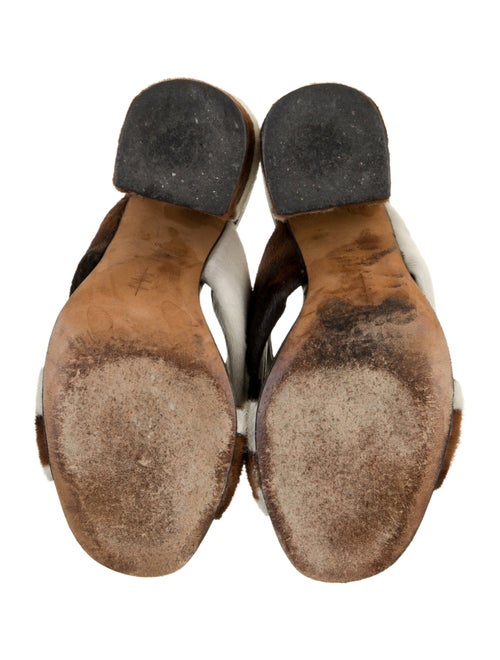 Alumnae Ponyhair Animal Print Slides