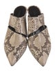 Alumnae Snakeskin Animal Print Mules