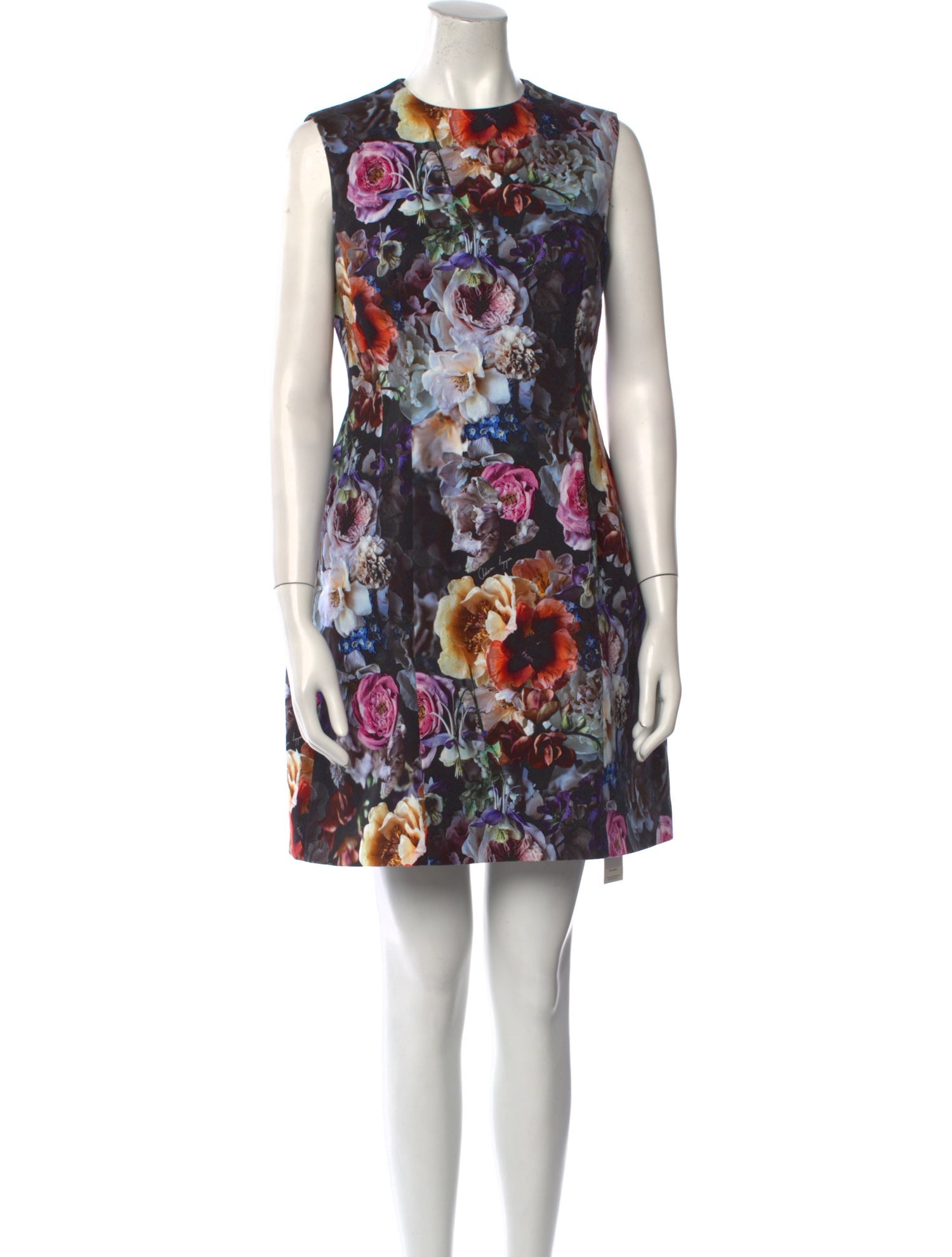 Adam Lippes Floral Print Mini Dress