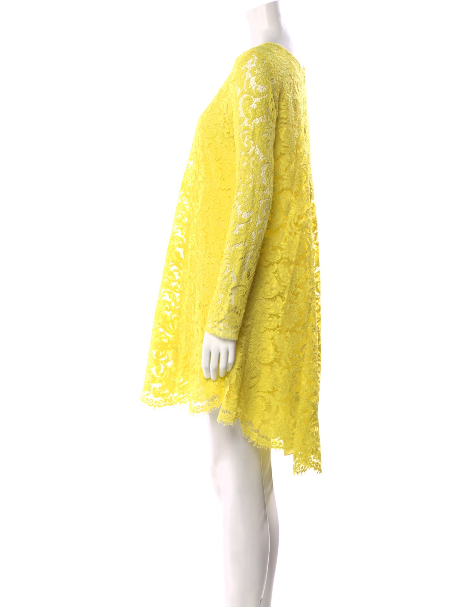 Adam Lippes Lace Pattern Mini Dress