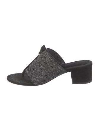 Alexandre Birman Suede Slides
