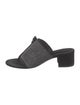 Alexandre Birman Suede Slides