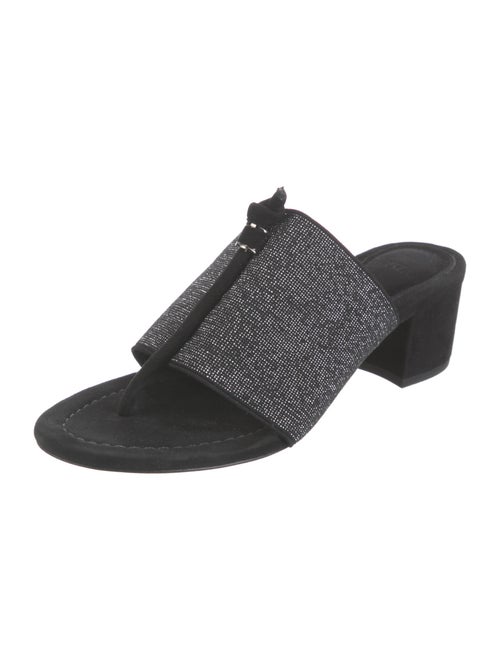 Alexandre Birman Suede Slides