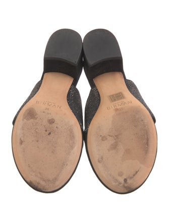 Alexandre Birman Suede Slides