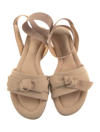 Alexandre Birman Suede Slides