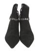 Alexandre Birman Suede Boots