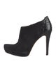 Alexandre Birman Suede Boots