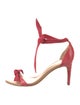 Alexandre Birman Suede Bow Accents Sandals