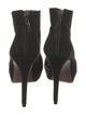 Alexandre Birman Suede Boots