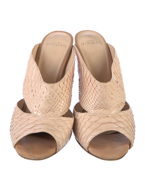 Alexandre Birman Python Slides