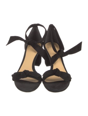 Alexandre Birman Suede Bow Accents Sandals