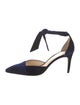 Alexandre Birman Suede D'Orsay Pumps