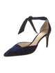 Alexandre Birman Suede D'Orsay Pumps