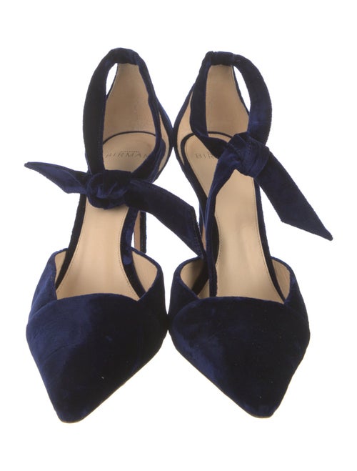 Alexandre Birman Suede D'Orsay Pumps