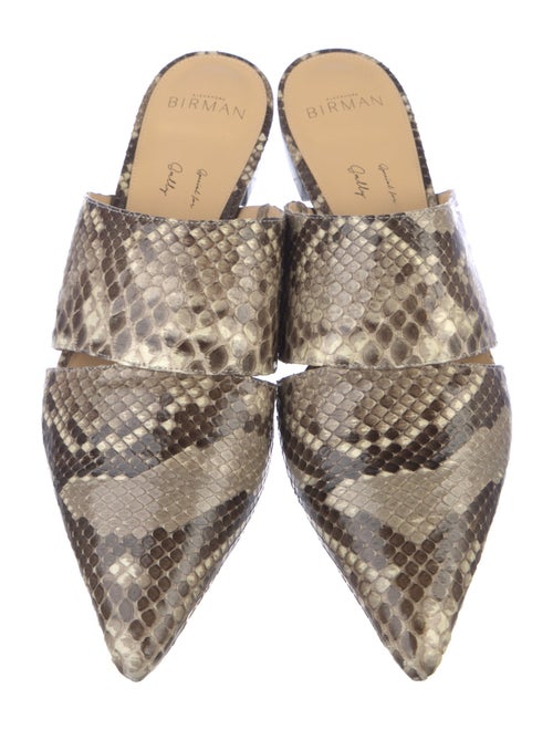 Alexandre Birman Snakeskin Animal Print Mules