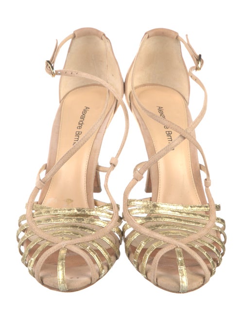 Alexandre Birman Suede Crystal Embellishments Sandals