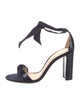 Alexandre Birman Suede D'Orsay Pumps