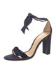 Alexandre Birman Suede D'Orsay Pumps