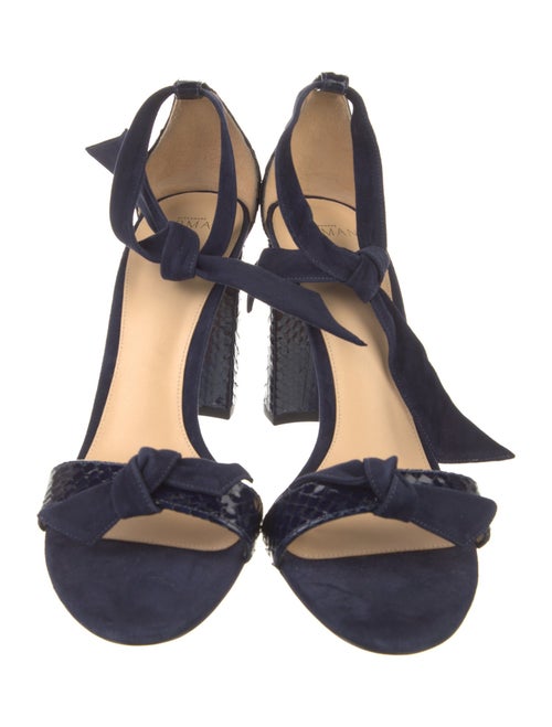 Alexandre Birman Suede D'Orsay Pumps