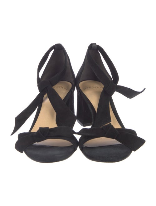Alexandre Birman Suede Sandals