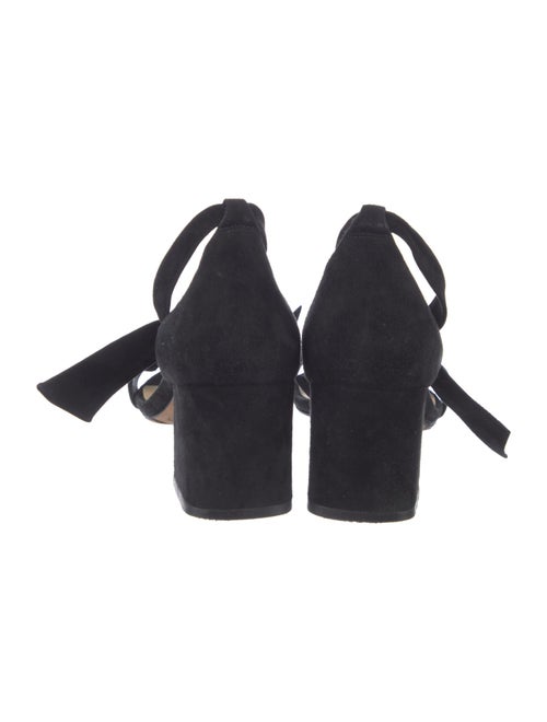 Alexandre Birman Suede Sandals