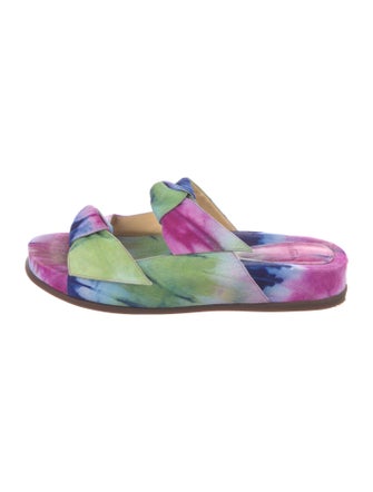 Alexandre Birman Suede Printed Slides
