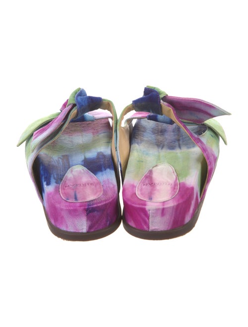 Alexandre Birman Suede Printed Slides