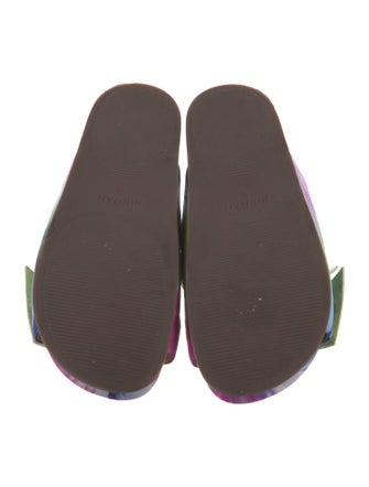 Alexandre Birman Suede Printed Slides