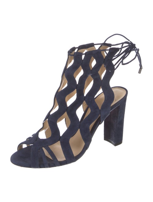 Alexandre Birman Suede T-Strap Pumps