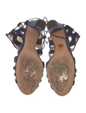 Alexandre Birman Suede T-Strap Pumps