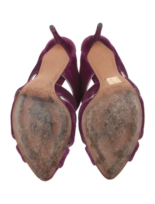 Alexandre Birman Velvet Leather Trim Embellishment Slides