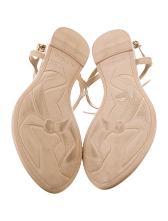 Alexandre Birman Rubber T-Strap Sandals