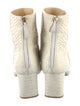 Alexandre Birman Python Boots