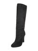 Alexandre Birman Ponyhair Boots